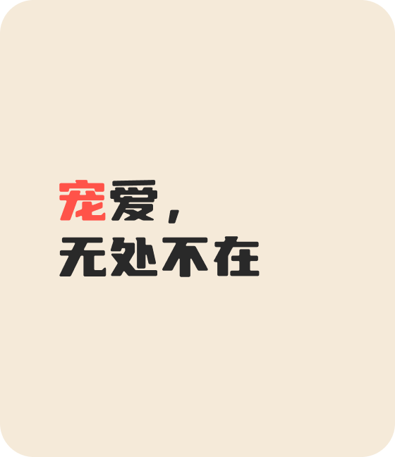 365WM完美宠物，无处不在