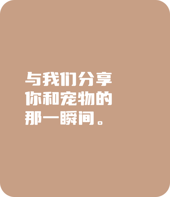 365WM完美宠物，无处不在